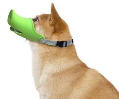Even Other Dogs Will Laugh When You Muzzle Your Dog With A