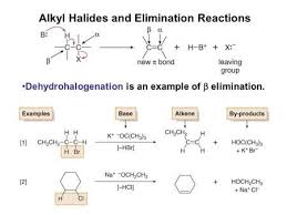 Alkyl Halides And Elimination Reactions Functional Group Organic Reactions Reactions