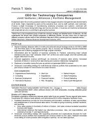 ceo technology resume example