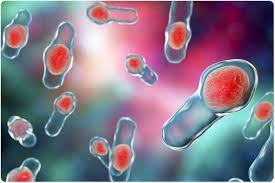 The same is true of the anthrax bacterium, bacillus anthracis. Using Microbiome Profiling In Clostridium Difficile Infection