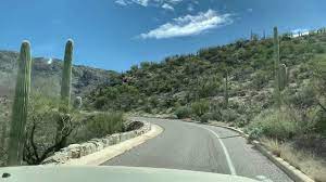 The name cacti or cactus has been adopted by the masses as the universal term to describe succulent plants. Saguaro National Park East Cactus Forest Loop Drive Youtube