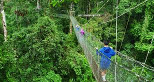 Your visit to national kinabalu park is never perfect without stopping by poring hot spring station. Kinabalu Park And Poring Hot Spring 2d1n Tour Private Tour