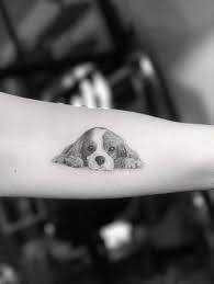 cutest tattoo designs of dogs kucuk dovmeler sevimli dovmeler karizmatik dovmeler