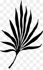 Palm hand clipart hand png herunterladen 1331 1808 kostenlos. Daun Hitam Unduh Gratis Cabang Kelapa Arecaceae Pelepah Daun Palem Naskah Clip Art Daun Hitam Gambar Png