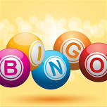 Designer Bag Bingo supporting Foster Angels on Earth