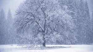 Image result for snow