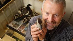 Birds of a feather: killer pukekos, robo-duck and a queer goose all at home  with Wellington 'duckman'