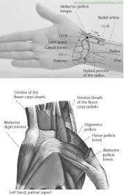 Lu 9 Supreme Abyss Taiyuan Acupuncture Points Acupuncture Points Acupressure Treatment Acupuncture Benefits