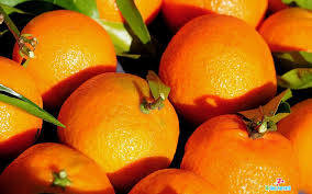 Orange Fruit Orange Wallpaper Orange High Resolution Wallpapers