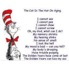 Pin On Funnies