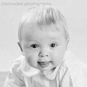 Gretchen Murcott (chickadeephoto)