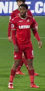 Van aanholt en is in de afgelopen jaren uitgegroeid tot een goedlopend bedrijf met 25 bekwame, professionele medewerkers. Leroy Fer Wikipedia