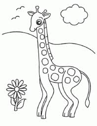 Zurafa Boyama Sayfasi Okuloncesitr Preschool Hayvan Boyama Sayfalari Zurafa Boyama Sayfalari