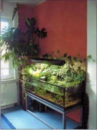 Pin On Aquarium