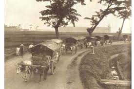 Alat Transportasi Manusia Bermula Dari Hewan Halaman All Kompas Com