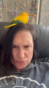 This is Elli’s world. I just live in it. Stewie’s rotten mouth makes a  cameo in this one. , #iamjustabigplayground #goldenconure #queenofbavaria  #birdbitch #birdsandbeaksnation