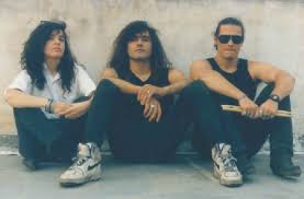 Image result for Dasylepis