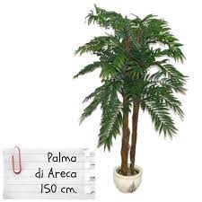 Maybe you would like to learn more about one of these? Piante Finte Artificiali Da Arredo Interno Palma Areca 150 Cm