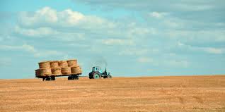 Il n'est plus possible de faire remplir votre déclaration, ni par téléphone, ni dans nos bureaux (actuellement fermés). Le Madelin Agricole Le Complement De Retraite Des Agriculteurs A Ne Pas Ecarter Previssima
