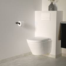 video hoe kies ik een toilet in 2021 toilet badkamer toiletruimte