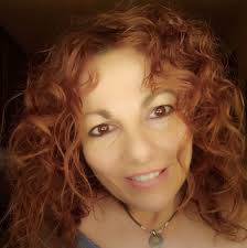 Talen quatre grans pins del recinte de l'hospital Santa Maria de Lleida per  risc de caiguda