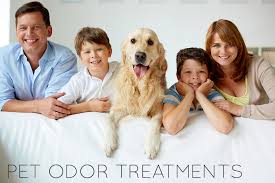 For the best rug cleaning in austin, tx call the steam team rug cleaning company. Area Rug Cleaning Austin Tx Blog The Steam Team Austin Tx Carpet Tile Air Duct Cleaning Water Damage Call 512 451 8326