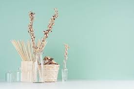 Washington dc, maryland, and virginia area consultant recruiting in the us, canada and mexico!here is a quick video showing you how to use our beautiful scen. Scentsy Diffuser Vs Young Living Diffuser What S The Difference For The Essentials