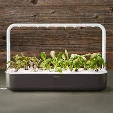 Click And Grow Smart Garden 9 Pod Grey Smart Garden Herb Garden In Kitchen Vertical Herb Gardens