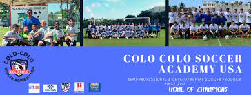 Der colocolo (leopardus colocolo, syn.: Colo Colo Soccer Academy Usa Facebook