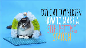 Now is the perfect time to supply your cat with a new toy or food puzzle. 14 Diy Cat Toys Because Cats Just Wanna Have Fun Peta