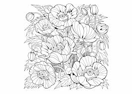 Kleurplaten Bloemen Voor Volwassenen