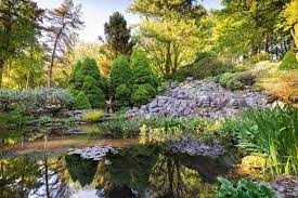 The Transformation Of A Yorkshire Garden Rock Garden Landscaping Rock Garden Aquatic Plants
