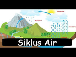 Contoh dari proses evaporasi adalah uap yang beradal dari air laut. Siklus Air Youtube