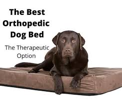 We did not find results for: 9 Best Orthopedic Dog Bed Options Australia 2021 Buyers Guide Gentledogtrainers Com Au