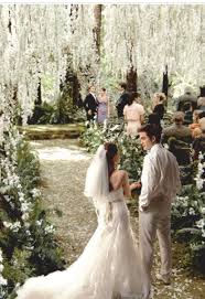 7yearsofbreakingdawnpart1 Twitter Search Twilight Wedding Breaking Dawn Wedding Redwood Forest Wedding