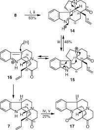 Image result for Schizozygia coffaeoides