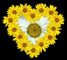 Pin En Flores