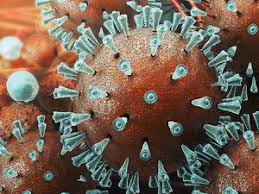 How did the coronavirus outbreak start? What Is Coronavirus A Few Things That You Should Know About Coronavirus