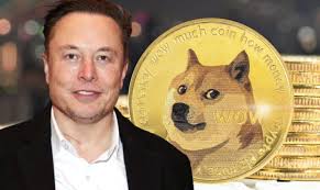 Elon Musk dan Dogecoin: Apakah Twitter Menjadi Kekuatan Baru?
