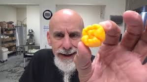 2 easy self pollinate ways for Carolina Reaper