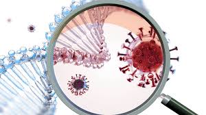 The Role of Immunity and immune memory against viruses – National Research  Foundation