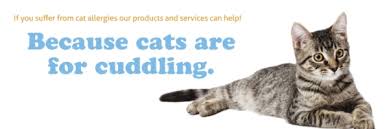 Is there a bubble be be pet grooming spa? Dog Grooming Cat Grooming Bubbles Pet Spa