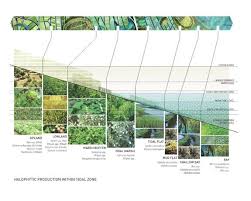 Tom Leader Studio Landscape Architecture Landscape Diagram Landscape Architecture Landscape Architecture Drawing In a landscape architecture design program, students study plants, learn to use computer design programs, and work with the list of all u.s.