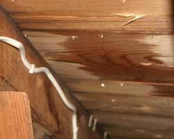 Reasons For A New Roof Owens Corning Roofing Roofing Roofing Basics Professional Roofing