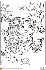 Notre site web est une plateforme qui propose des milliers de dessins en tout genre en noir et blanc à mettre en couleur. Coloriage Tigre En Ligne Gratuit A Imprimer