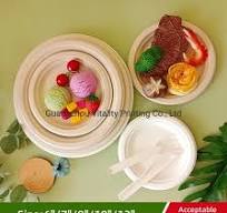 9 Inch Disposable Biodegradable Sugarcane Bagasse Paper ...
