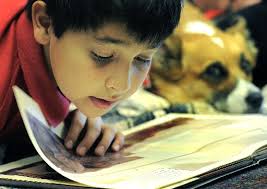 Broomfield library lets kids have dog-gone good time while polishing  reading skills