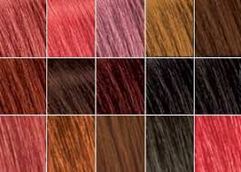 Bigen Semi Permanent Hair Color Review Cutefetti
