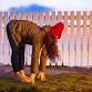 Vinyasa Foundations event in Whitehorse, YT