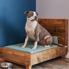 Dog Bed Frame | Avocado Green Mattress®